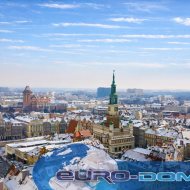 Mieszkanie na wynajem